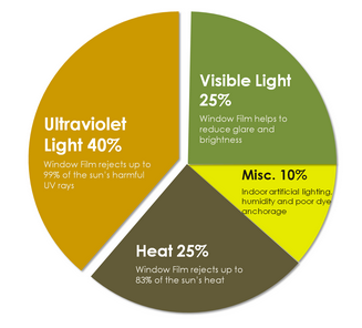 Facts about Fading Pie Chart