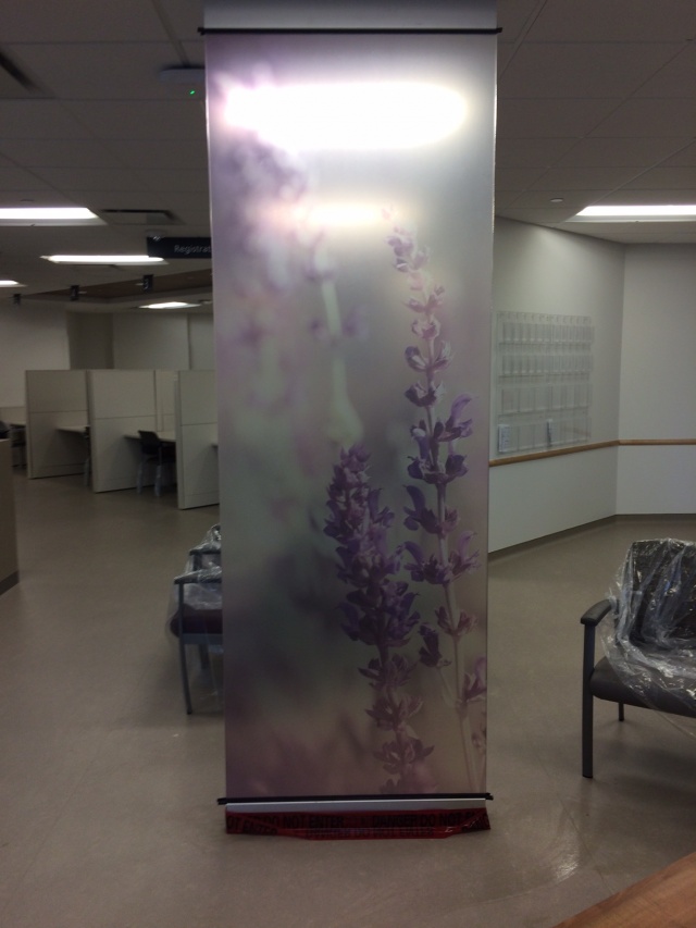 Trafalgar Hospital Window Film Oakville