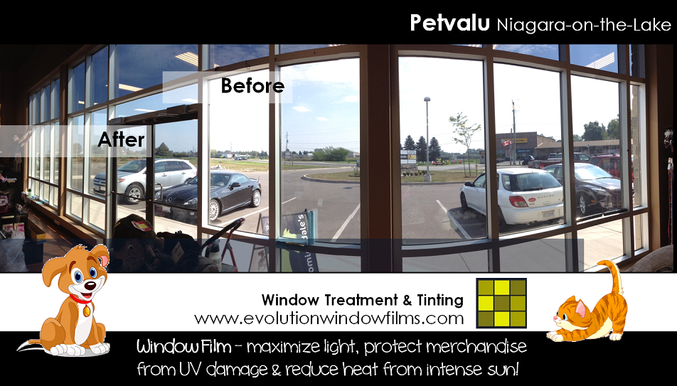 Pet Valu Niagara-on-the-Lake Window Film