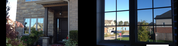 Window Film Saves Couch and Piggy Bank