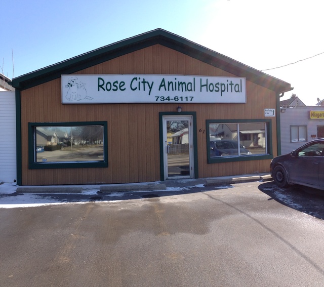 Rose City Animal Hospital Welland, Ontario