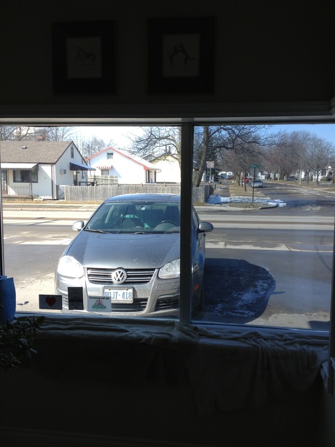 Rose City Animal Hospital Welland, Ontario