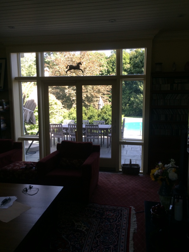Conservation Area Backyard