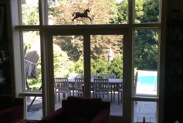 Conservation Area Backyard